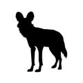 Standing African Wild Dog Silhouette Side View Preview Isolated On White Background Royalty Free Stock Photo