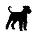 Standing Airedale Terrier Silhouette Side View Preview Isolated On White Background