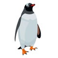 Standing antarctic Adelie penguin