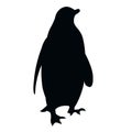 Standing antarctic Adelie penguin silhouette