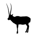 Standing Antelope Silhouette Vector Style Isolated On White