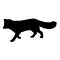 Standing Artic Fox Silhouette Vector Style On Side View Isolated On White Background