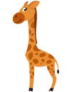 Standing baby giraffe side view