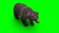 standing bear. Green screen isolate. 3d rendering.