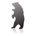 Standing bear silhouette vector