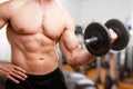 Standing Bicep Dumbbell Curl Royalty Free Stock Photo