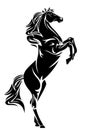 Standing black horse vector design Royalty Free Stock Photo