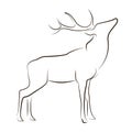 Standing black line deer on white background
