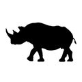 Standing Black Rhinoceros, Diceros Bicornis, Silhouette, Eastern Africa And South Africa