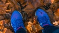 Standing with blue sneakers on falls leaves