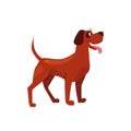 Standing Brown Dog with a Spot on Ear. Vector