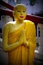 Standing Buddha at Buddhist Monaster, Central Sri Lanka