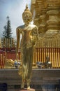 Standing Buddha in Chiang Mai Royalty Free Stock Photo