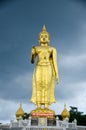 Standing Buddha image.The attitude of persuading the relatives not to quarrel symbol of Golden Buddha statue at Kho Hong Hill