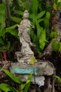Standing Buddha Statue in a Lush Green Garden Royalty Free Stock Photo