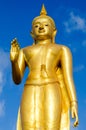 Standing Buddha statue