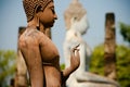 Standing Buddha in Sukhotai, Thailand