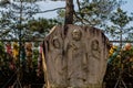 Standing Buddhas carved in rock