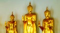 Standing Buddhas in Gold look antique in Wat Pho
