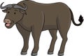 Standing Buffalo Cartoon Color Illustration Royalty Free Stock Photo