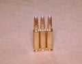 The standing cartriges 308 Winchester caliber with soft point bullets Royalty Free Stock Photo