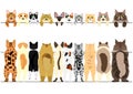 Standing cats front and back border set Royalty Free Stock Photo