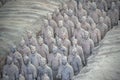 Clay soldiers of the Terracota Army