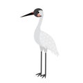 Standing Crane bird animal cartoon character vector illustration Royalty Free Stock Photo