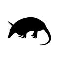 Standing Cute Armadillo Silhouette Vector Style Isolated On White