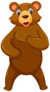 Standing cute brown bear