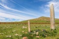 Standing deer stones in on a Mongolian hill Royalty Free Stock Photo