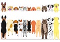 Standing dogs and cats front and back border set