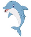 Standing Dolphin Illustration