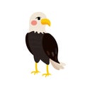 Standing Eagle animal cartoon character vector illustration