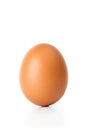 A standing brown egg in a cut out view Royalty Free Stock Photo