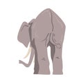 Standing Elephant As Large African Animal With Trunk, Tusks, Ear Flaps And Massive Legs Back View Vector Illustration