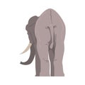 Standing Elephant As Large African Animal With Trunk, Tusks, Ear Flaps And Massive Legs Back View Vector Illustration