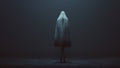 Standing Evil Spirit Ghost with Crossed Legs and Hands by Her Sides in a Death Shroud Sheet in a Foggy Void