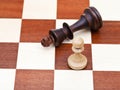 Standing and fallen chess king and pawn Royalty Free Stock Photo