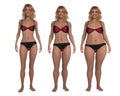 3D Render : standing female body type illustration : ectomorph skinny type, mesomorph muscular type, endomorphheavy weight ty Royalty Free Stock Photo