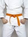 Standing fighter orange belt martial arts white suit Royalty Free Stock Photo