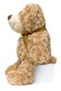 Standing fluffy brown teddy bear from side