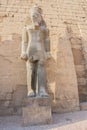 Standing in front of the statue of Ramesses II