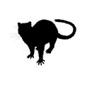 Standing Front View Quoll Silhouette. Good To Use For Element Print Book, Animal Book and Animal Content