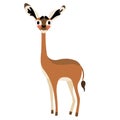 Gerenuk animal cartoon character vector illustration