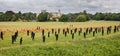 Standing With Giants memorial installation to the dead of the Falklands War - military silhouettes in Thoresby Park, Nottinghamshi