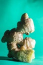 standing ginger root with green background and a piece in front