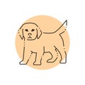 Standing golden retriever puppy color line icon. Pictogram for web page