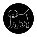 Standing golden retriever puppy color line icon. Pictogram for web page