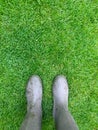 Standing on the grass